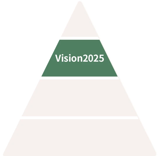 Vision2025