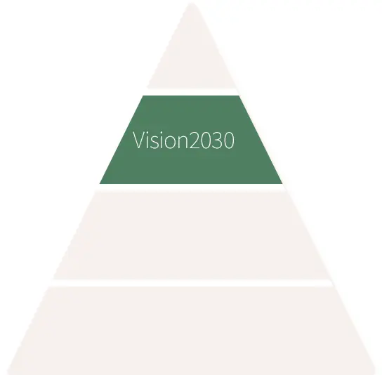 Vision2030