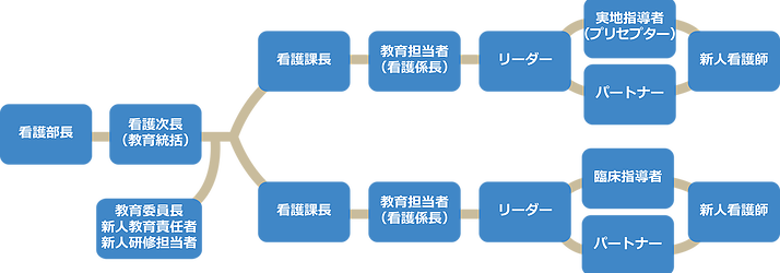 新人看護師研修における教育体制関連図