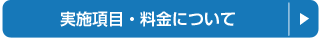 実施項目・料金について