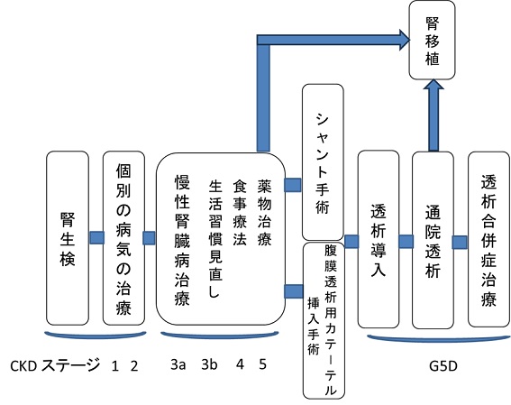 腎移植の流れ