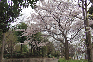 二番構公園