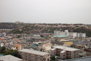 大庭城址公園