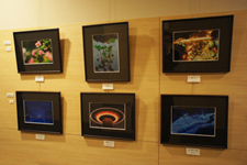 展示作品　その２