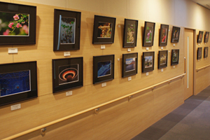 展示作品　全体風景